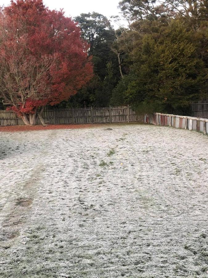 Moore St Cottage Ohakune Εξωτερικό φωτογραφία
