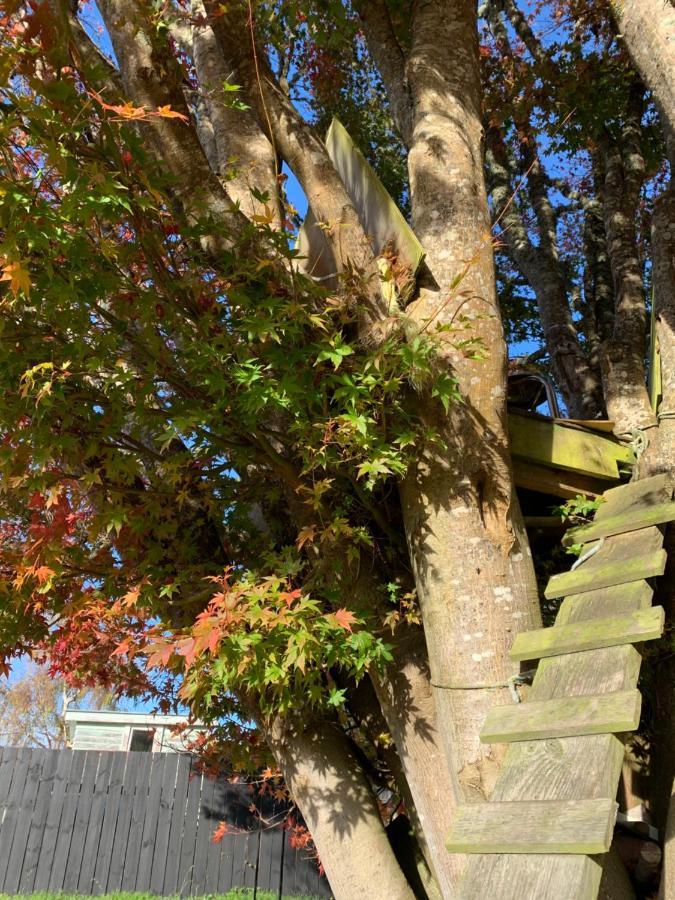 Moore St Cottage Ohakune Εξωτερικό φωτογραφία